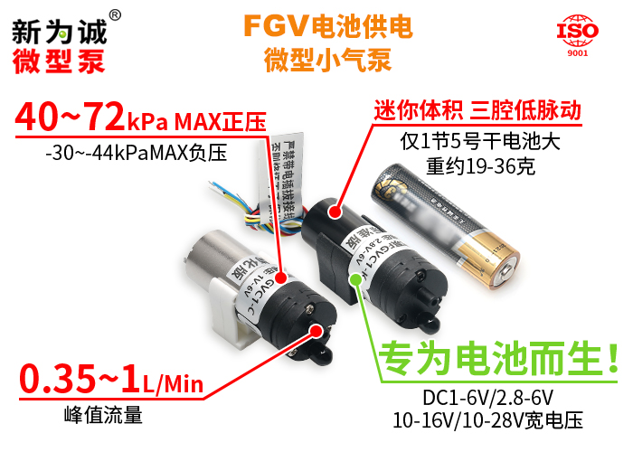 FGV-01