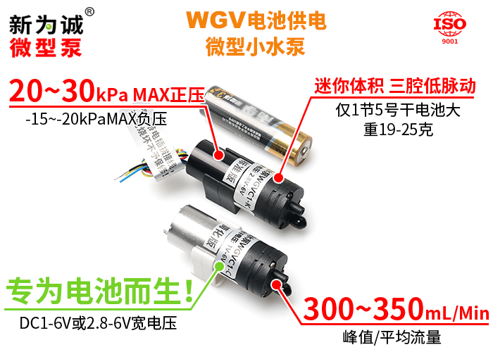 WGV-01